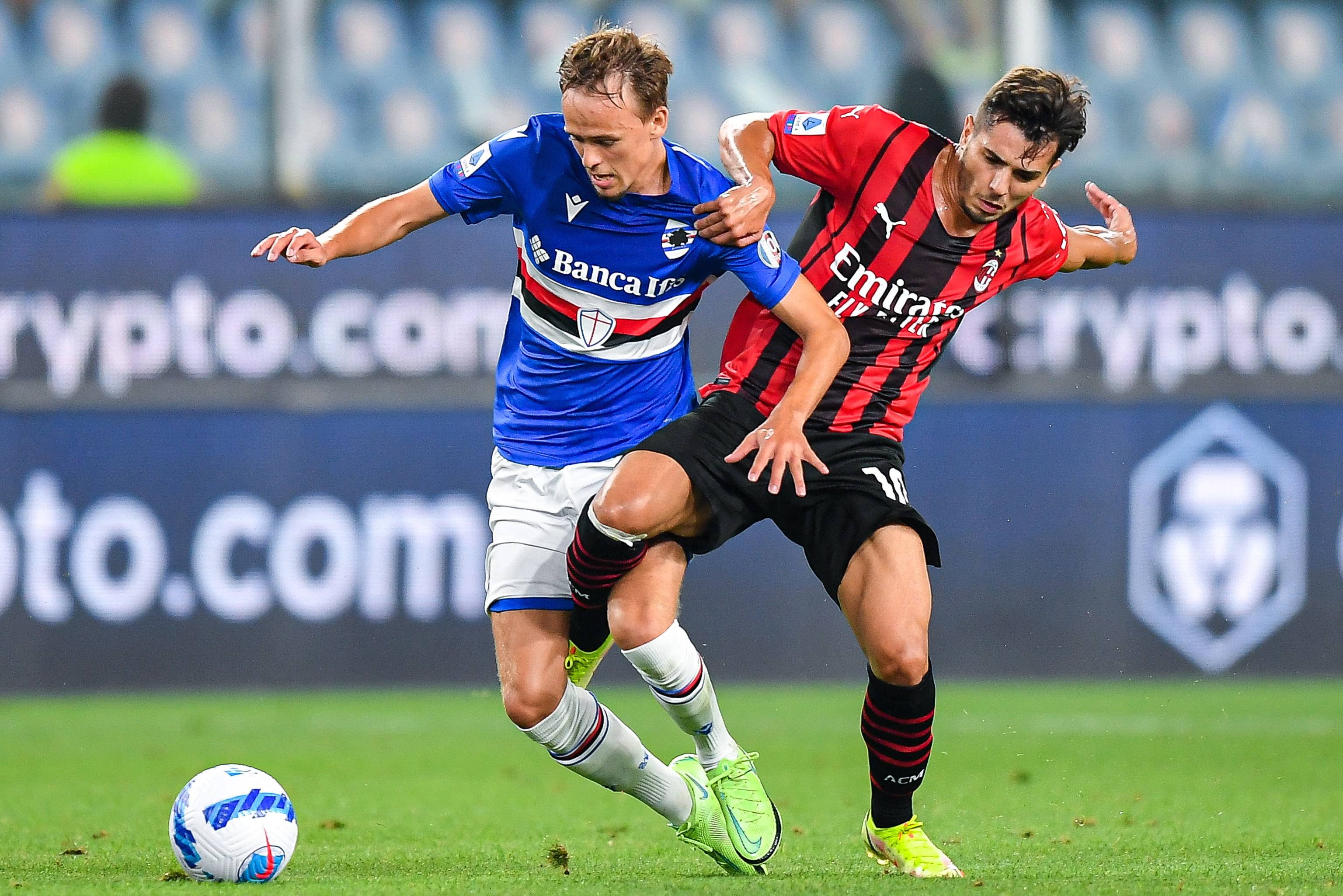 伦敦奥运马术双骄伴随爱马同日辞世 相互扶持逾二十载共谱辉煌传奇